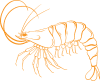 Tidescapes Collab 3 crab